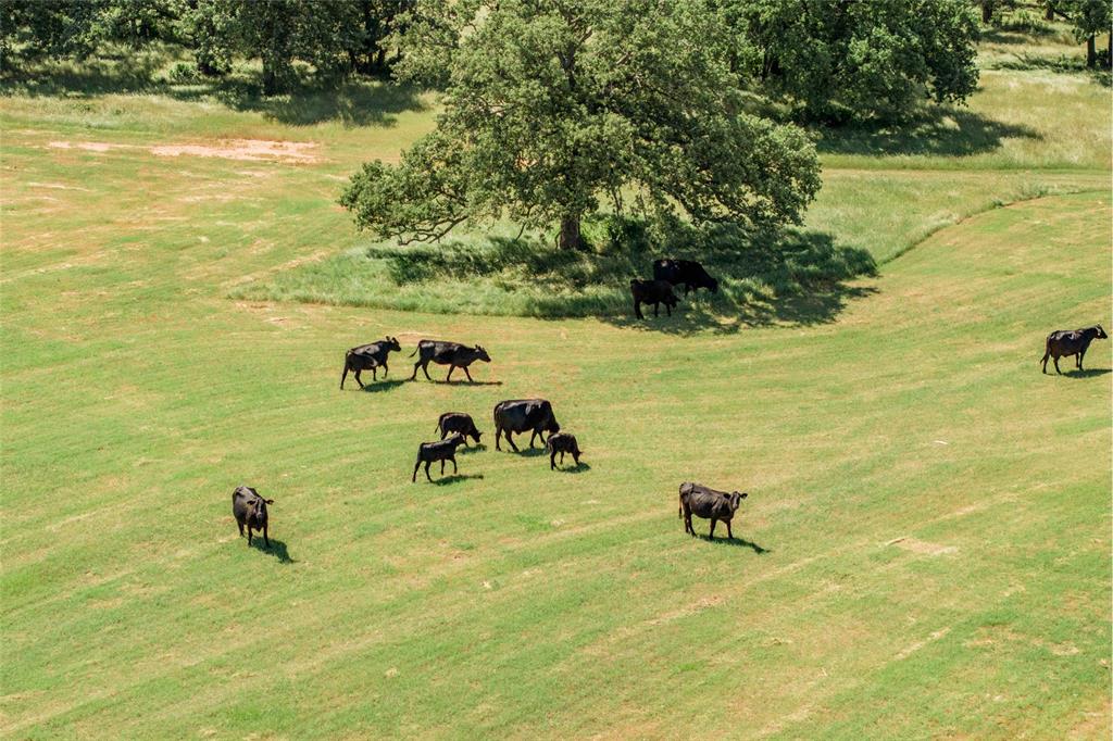 5200 Cross Timbers Road Flower Mound, TX 75028 - Photo 6 of 17 a view of a ocean beach