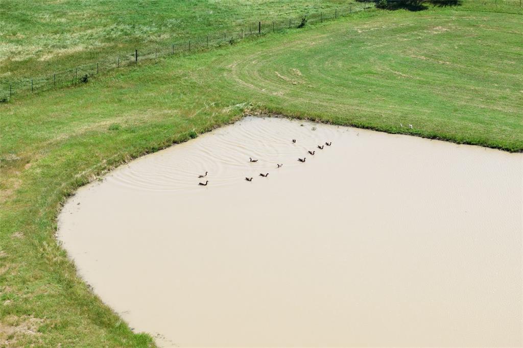 5200 Cross Timbers Road Flower Mound, TX 75028 - Photo 9 of 17 a view of a big yard with large trees