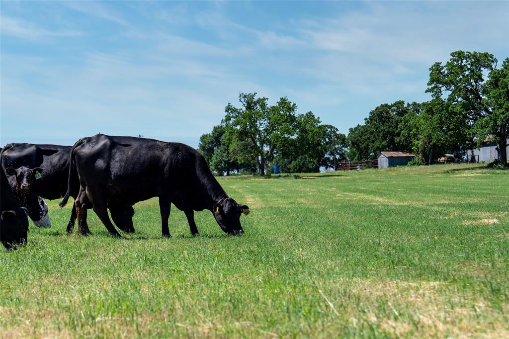 5200 Cross Timbers Road Flower Mound, TX 75028 - Photo 10 of 17 a backyard of a house with table and chairs