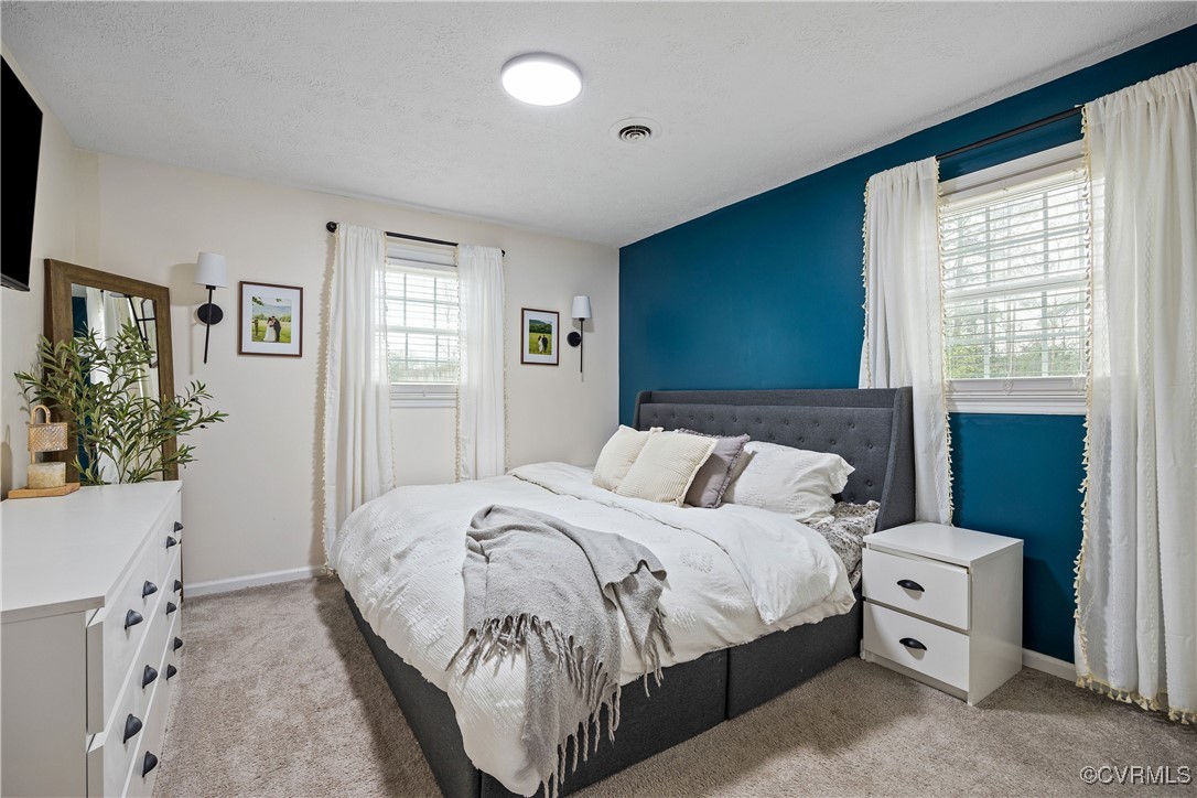 3605 Union Branch Road Petersburg, VA 23805 - Photo 18 of 40 Spacious primary bedroom with carpet and two windo