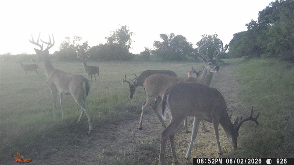 1010 Fm 583 Rising Star, TX 76471 - Photo 39 of 40 Gallery Image 39