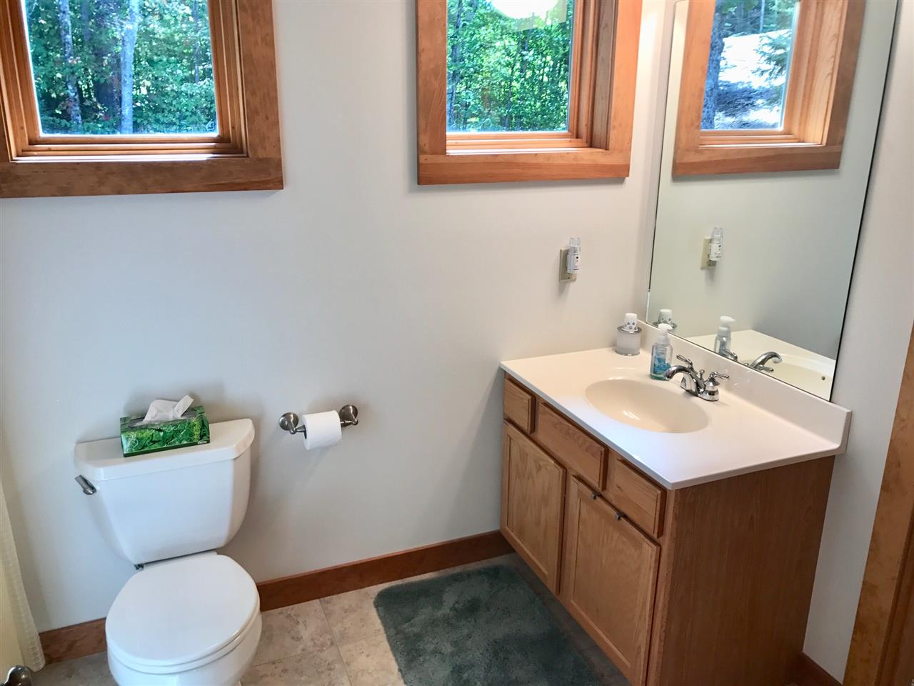 159 Pegwood Road Campton, NH 03223 - Photo 23 of 40