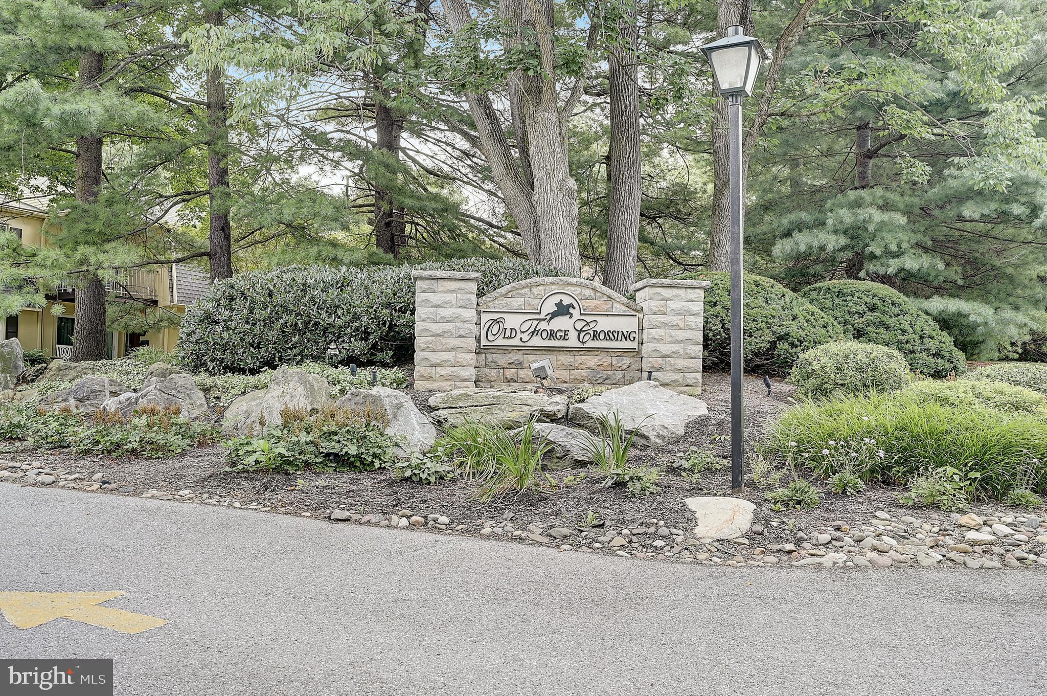 467 Old Forge Crossing Devon, PA 19333 - Photo 23 of 34 a view of a park with a bench plants and large trees