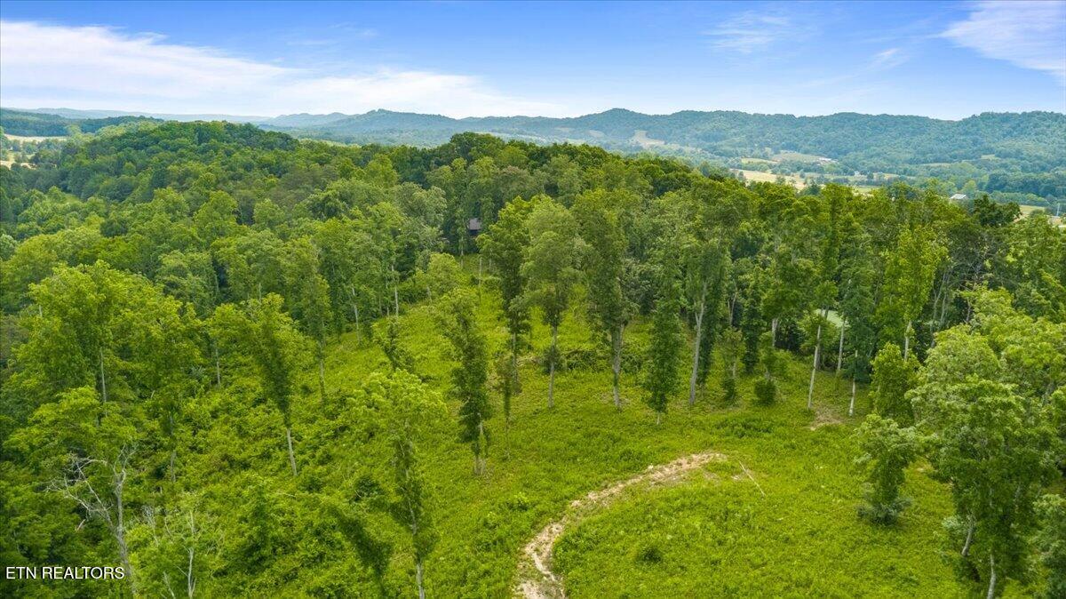 1 Mill Creek Road Andersonville, TN 37705 - Photo 26 of 26 01-Mill Creek Rd