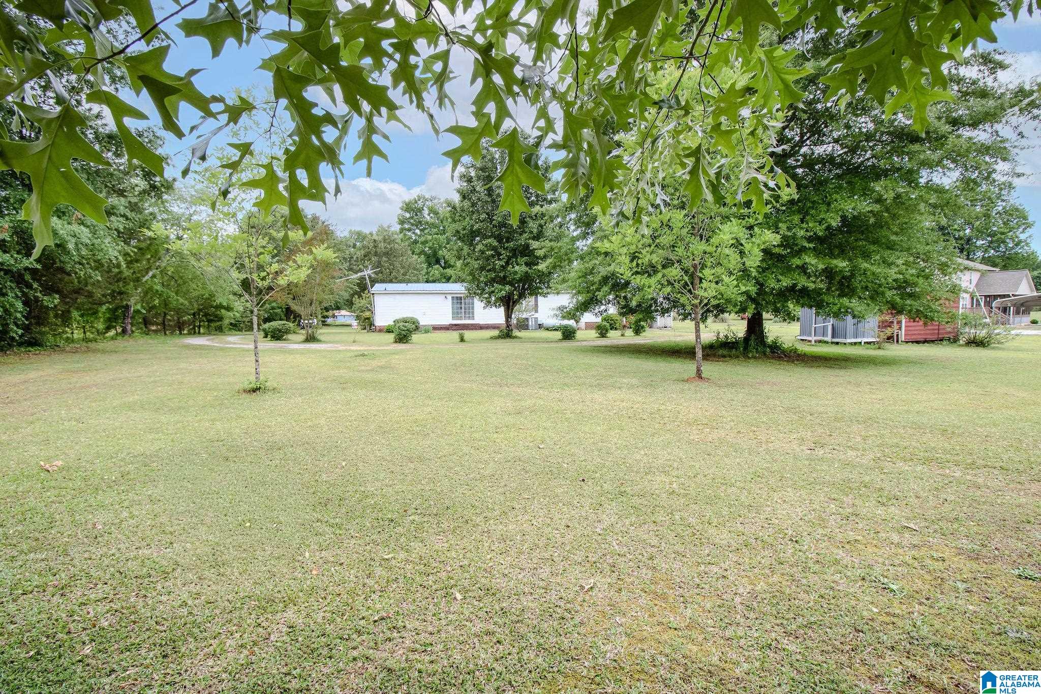 800 Curry Station Road Munford, AL 36268 - Photo 30 of 47