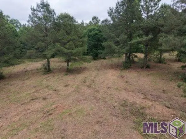 $249,000 | 10 Clinton La, Clinton, LA 70722