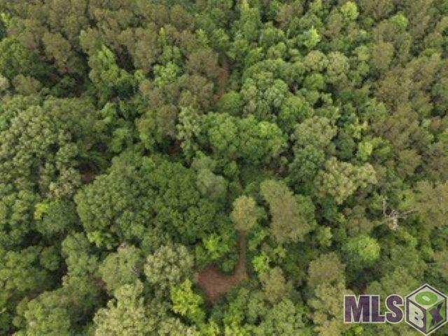 10 Clinton La Clinton, LA 70722 - Photo 12 of 13