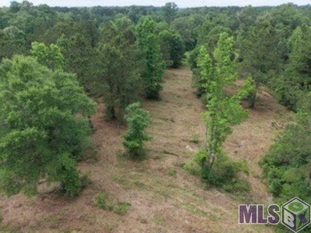 10 Clinton La Clinton, LA 70722 - Photo 2 of 13
