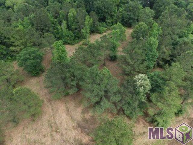 10 Clinton La Clinton, LA 70722 - Photo 8 of 13