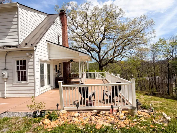 a view of a house with a large tree