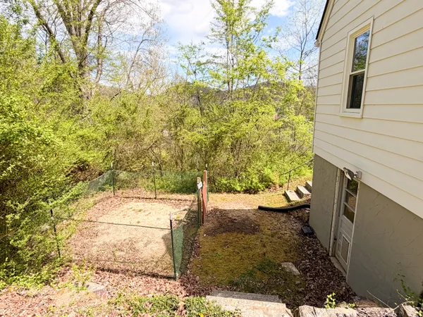a view of a yard with large trees