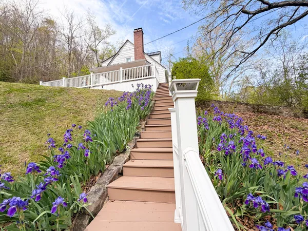 a view of a garden with flowers