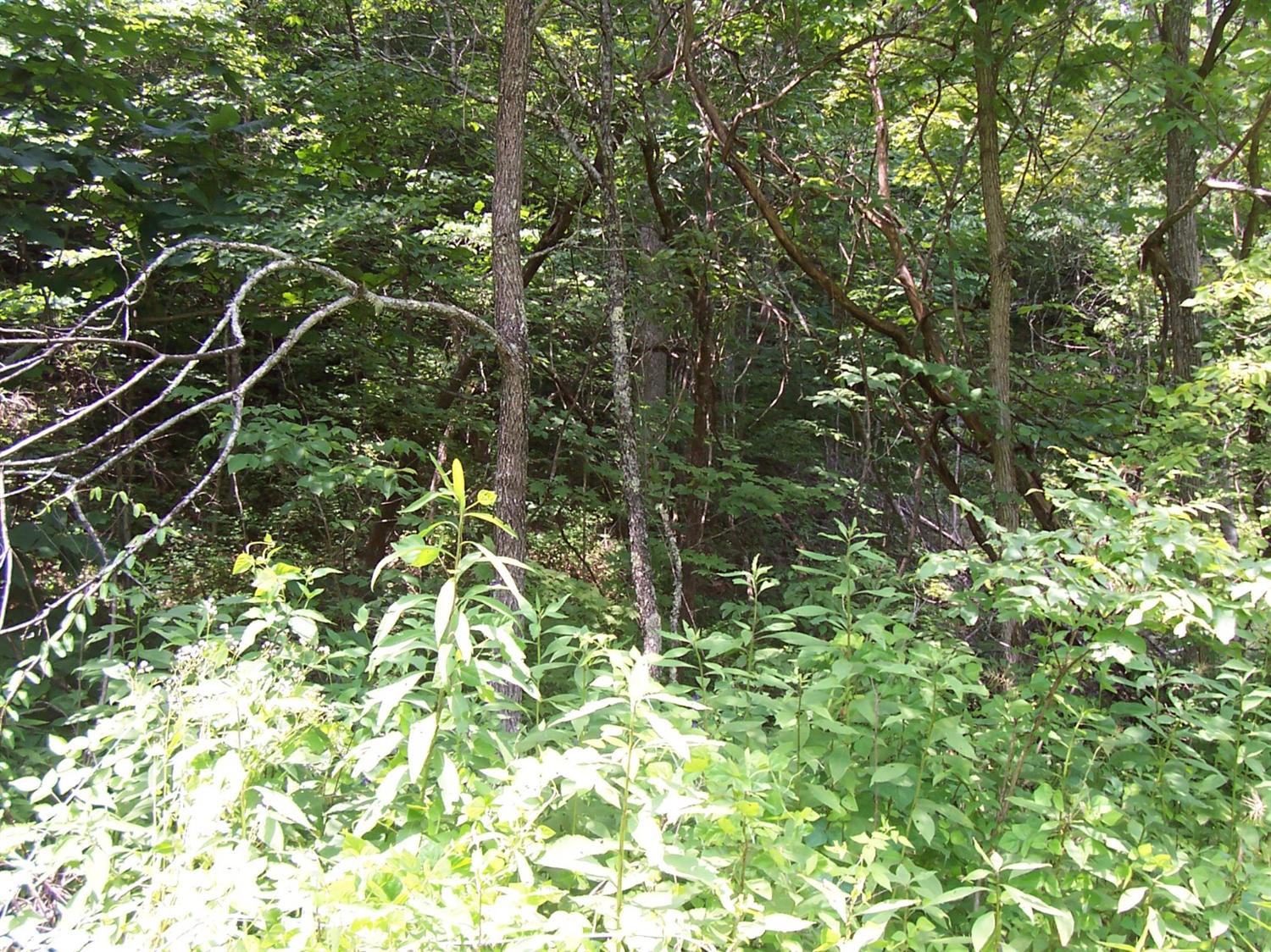 1 Fox Hollow Road Beattyville, KY 41311 - Photo 13 of 20 Photo 13