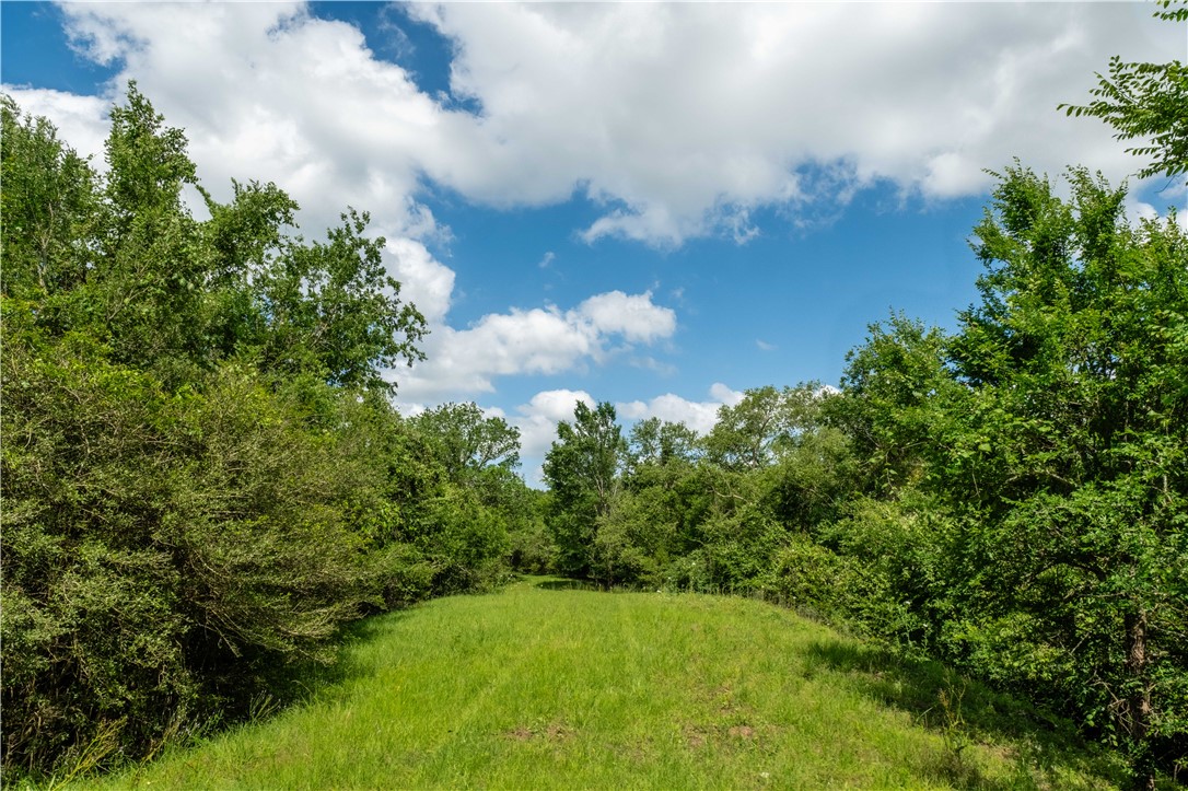 2199 Navasota Ridge Navasota, TX 77868 - Photo 20 of 30