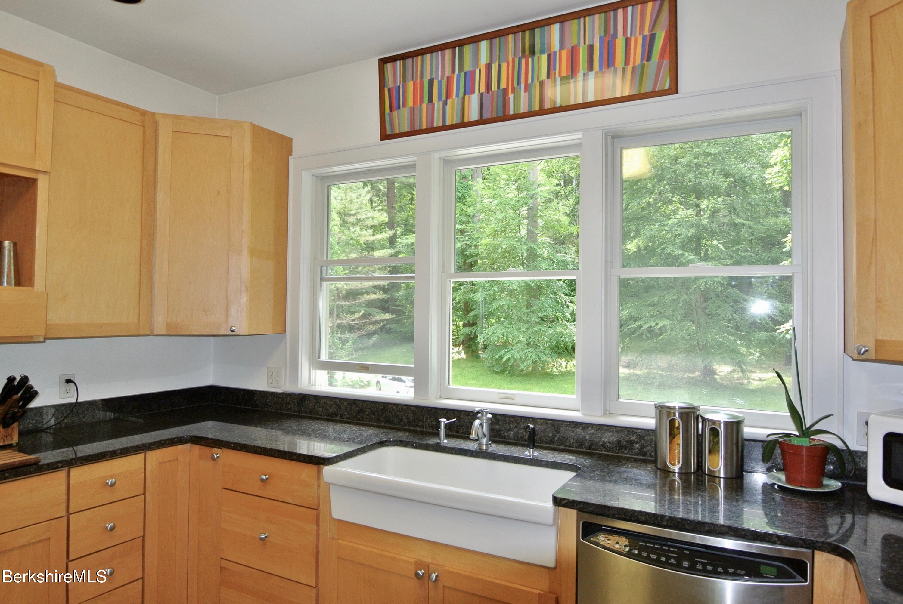 65 Monument Valley Road Great Barrington, MA 01230 - Photo 11 of 32 Dishwashing view