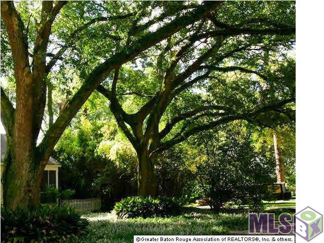 727 Acadia Street Baton Rouge, LA 70806 - Photo 4 of 16 Gallery Image 4
