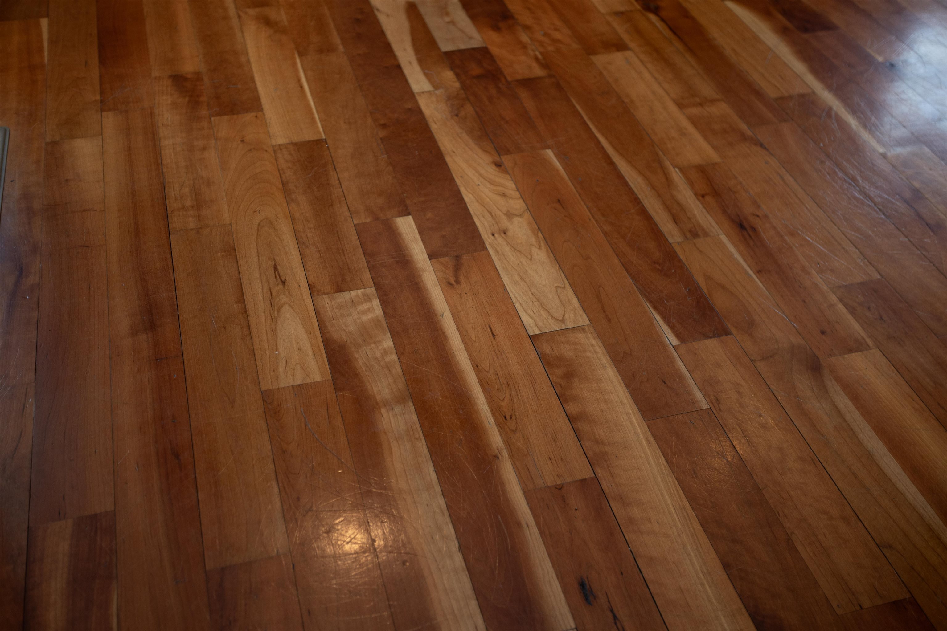 203 Keswick Circle Dayton, VA 22821 - Photo 57 of 73