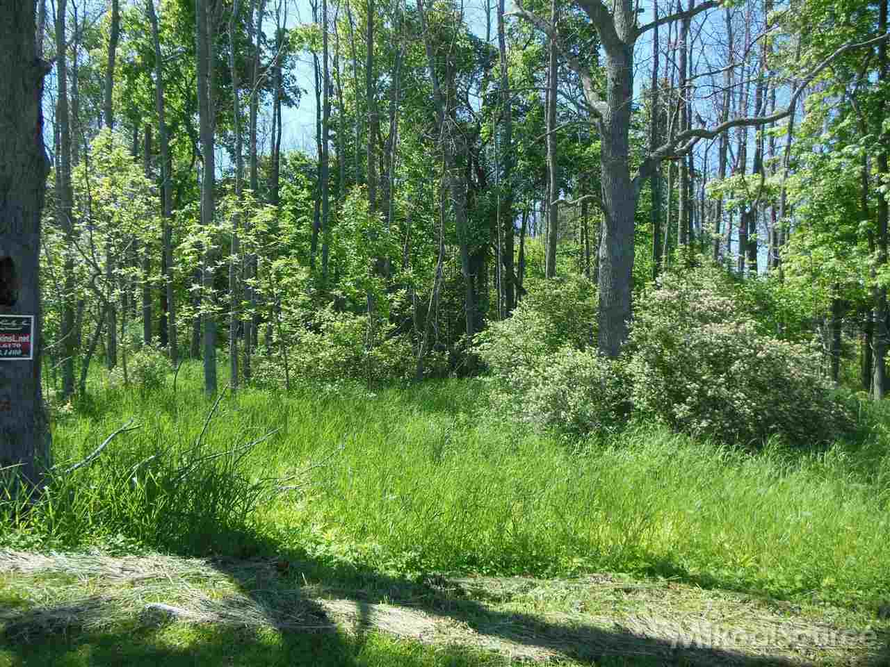 0 Rapson Road Bad Axe, MI 48413 - Photo 7 of 10