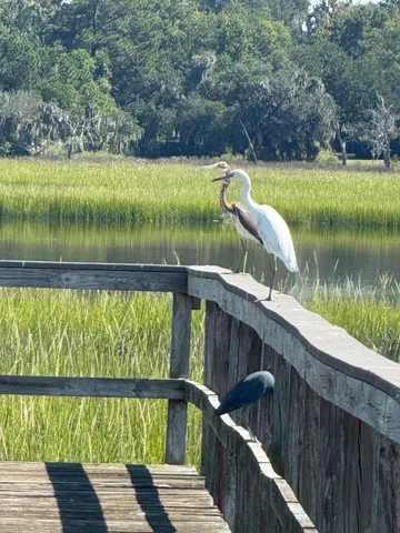 $425,000 | 212 Bull Point Drive, Seabrook, SC 29940