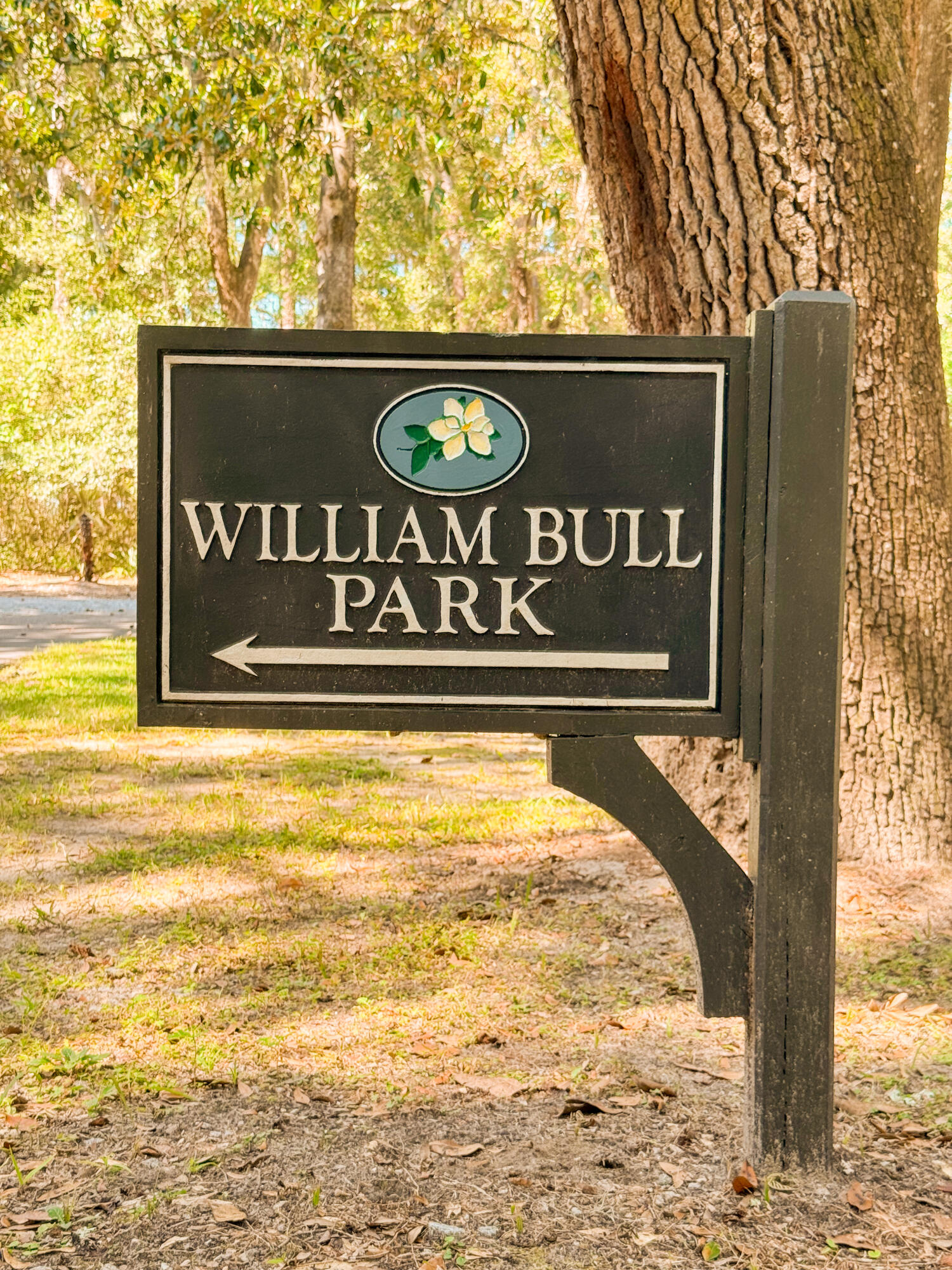 212 Bull Point Drive Seabrook, SC 29940 - Photo 12 of 23 IMG_6220