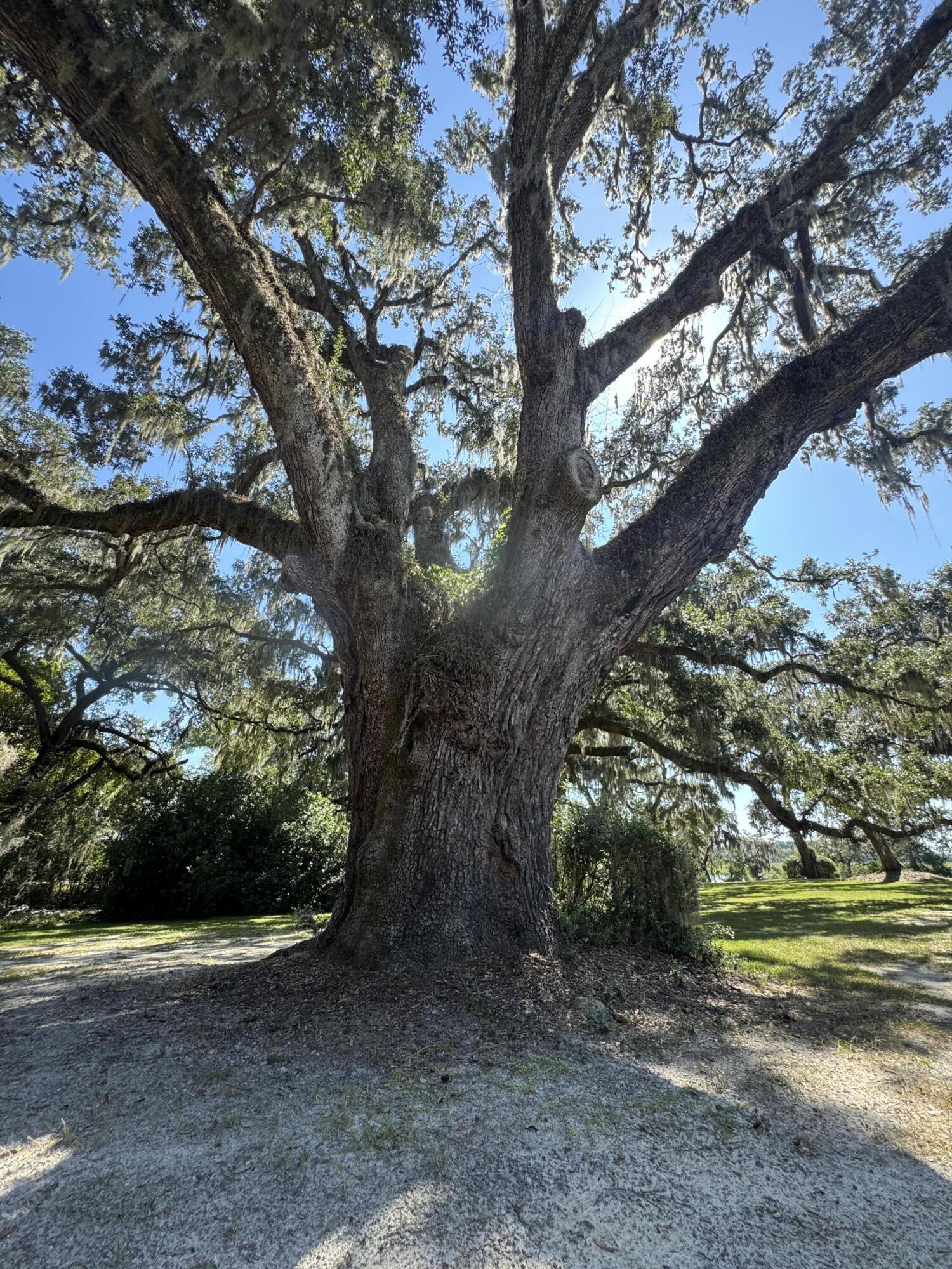 212 Bull Point Drive Seabrook, SC 29940 - Photo 14 of 23 IMG_6221