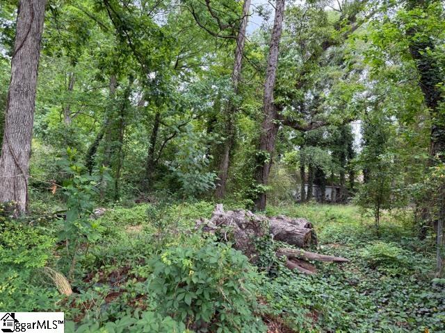 0 Brook Glenn Road Taylors, SC 29687 - Photo 3 of 9