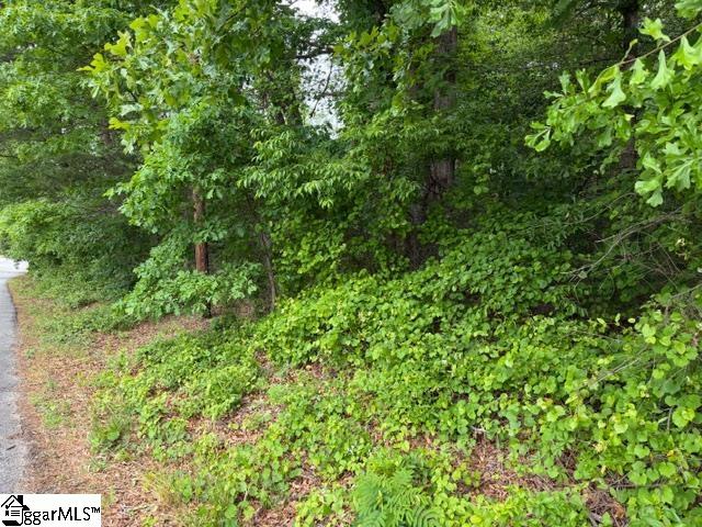 0 Brook Glenn Road Taylors, SC 29687 - Photo 5 of 9