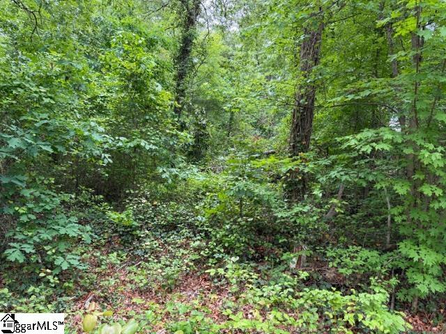 0 Brook Glenn Road Taylors, SC 29687 - Photo 8 of 9