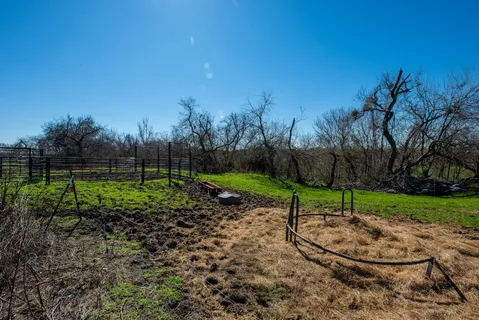 a view of a garden with a slide