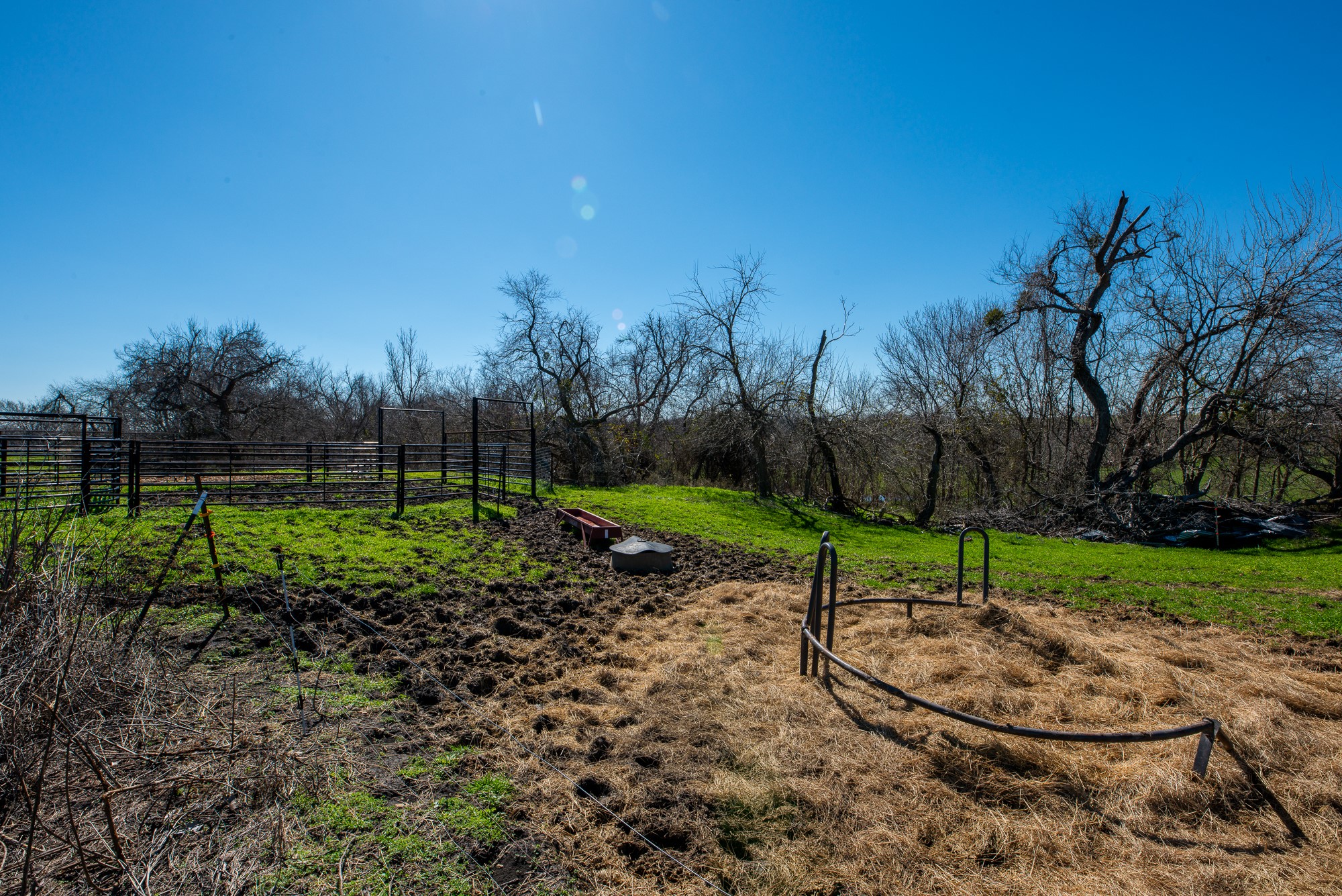 901 County Road 398 Taylor, TX 76574 - Photo 9 of 11