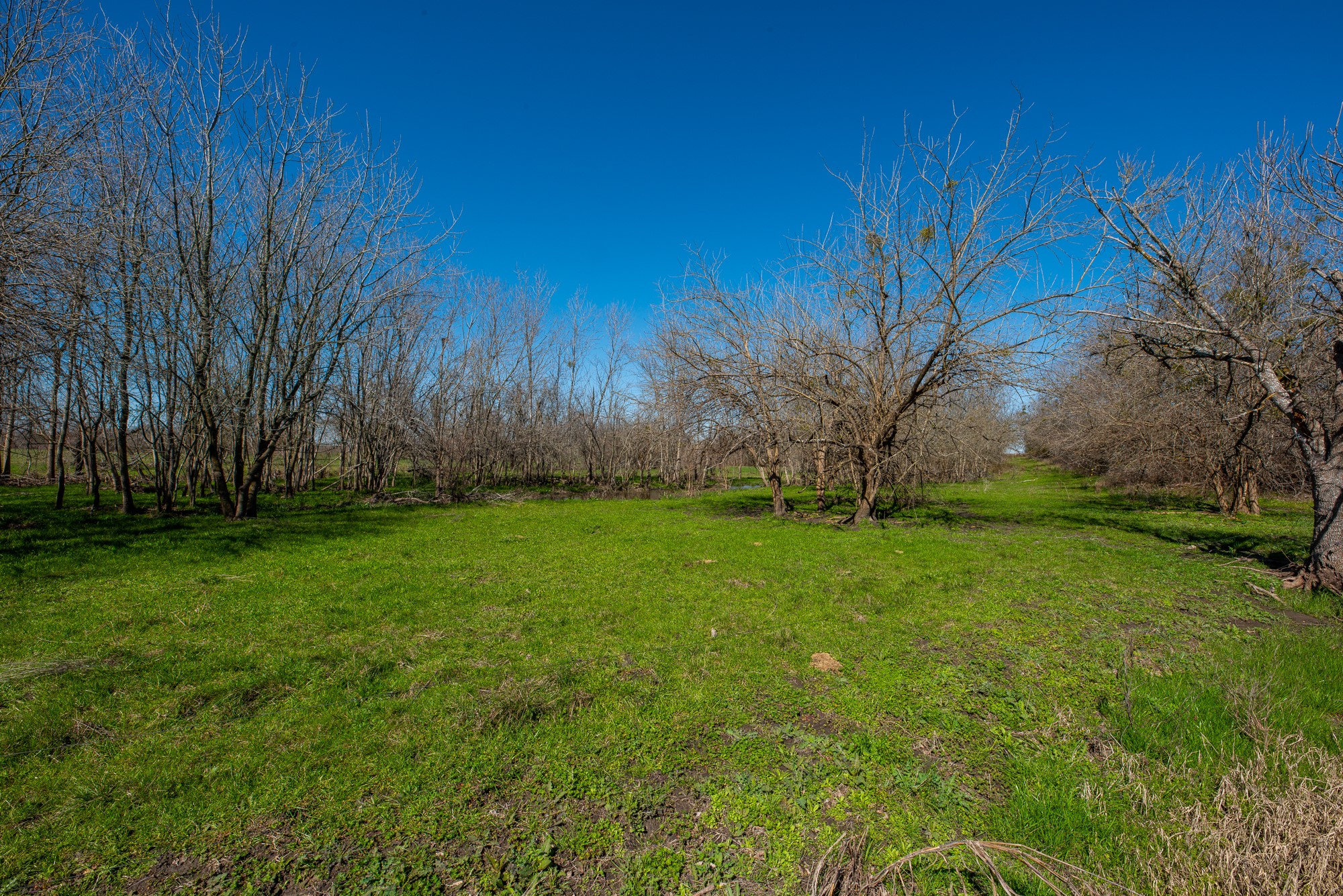 901 County Road 398 Taylor, TX 76574 - Photo 10 of 11