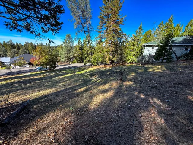 $9,000 | 297 Forest Meadows Drive, Murphys, CA 95247