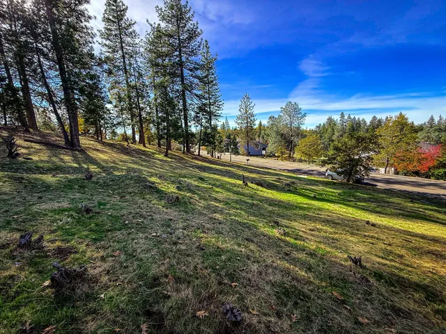 $9,000 | 297 Forest Meadows Drive, Murphys, CA 95247