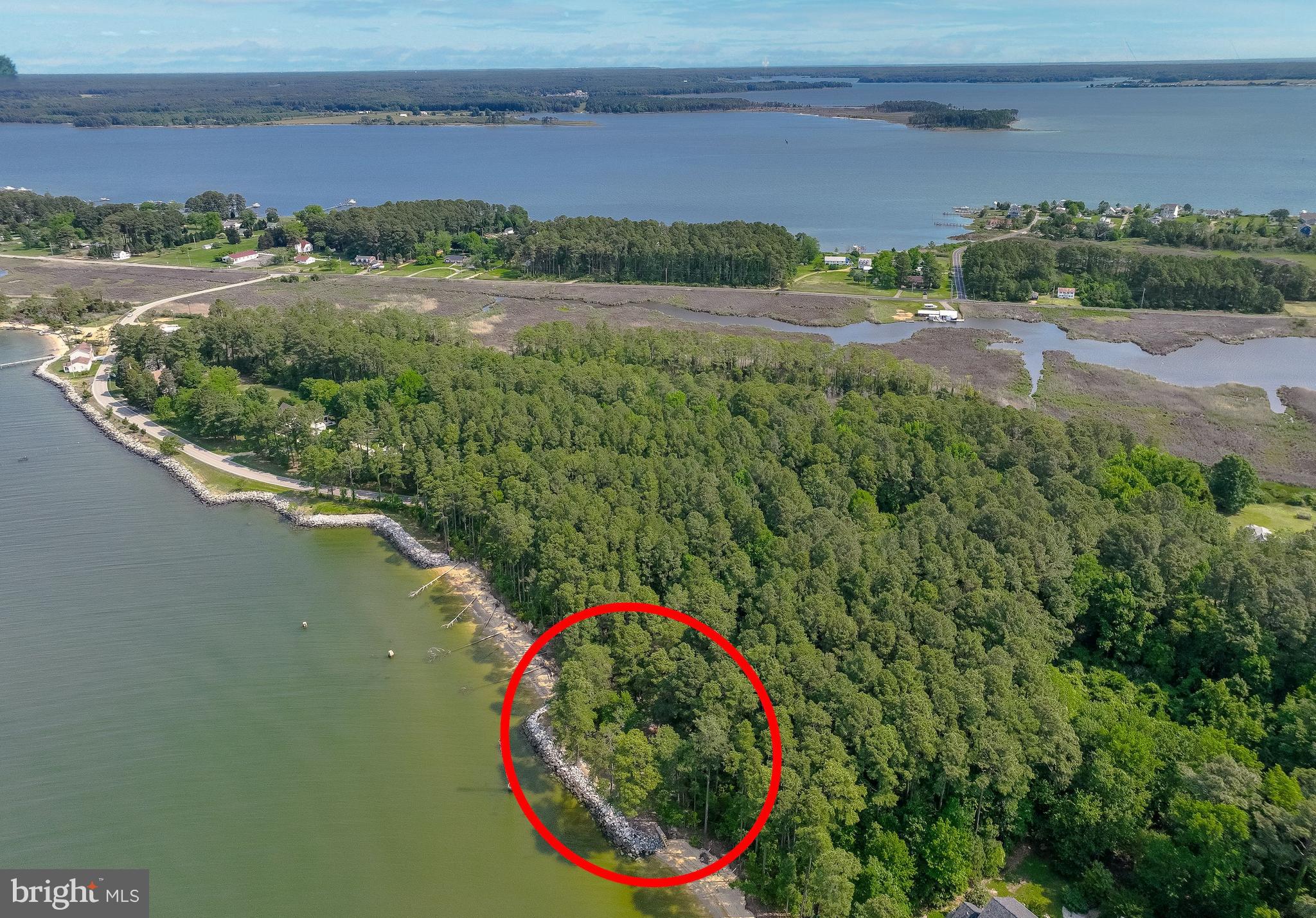 16291 Thomas Road Piney Point, MD 20674 - Photo 16 of 55