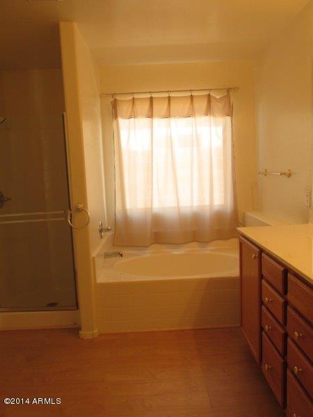 3223 West Tanner Ranch Road Queen Creek, AZ 85144 - Photo 11 of 21 Master Bath1