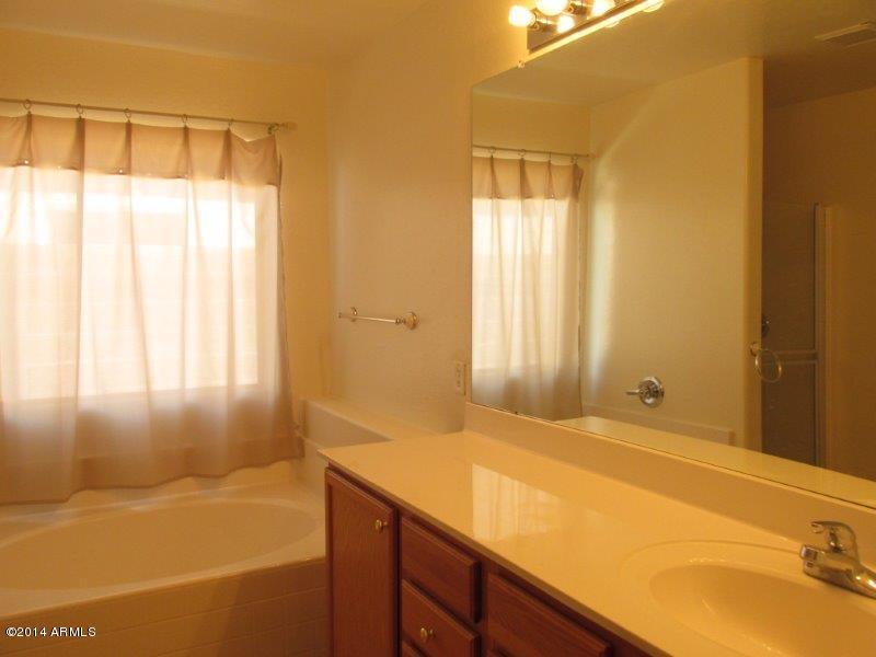 3223 West Tanner Ranch Road Queen Creek, AZ 85144 - Photo 12 of 21 Master Bath2