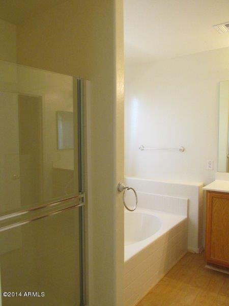 3223 West Tanner Ranch Road Queen Creek, AZ 85144 - Photo 10 of 21 Master Bath