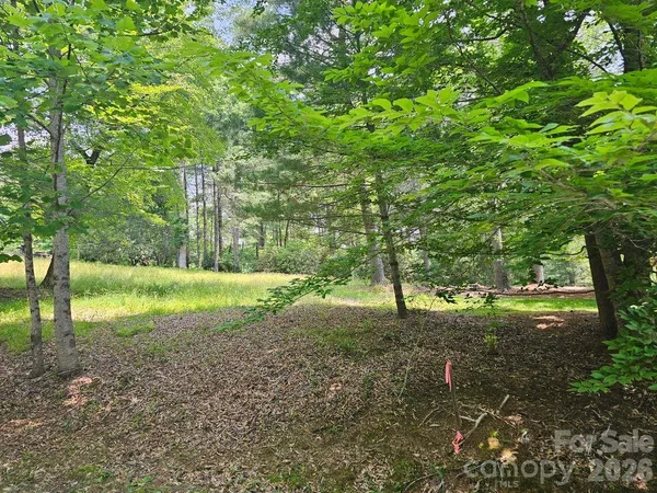 $350,000 | A3 Allison Creek Trail, Unit A3, Brevard, NC 28712