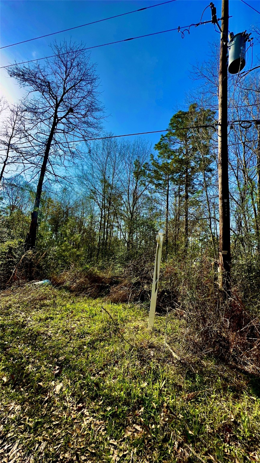 a view of a pathway with a house in the background