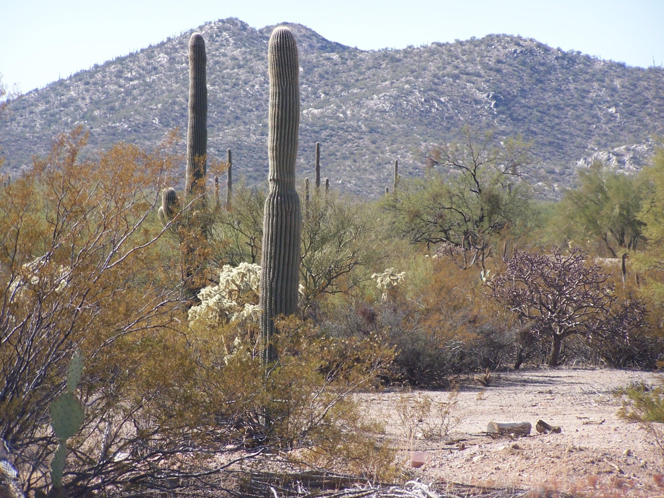 0 Cadillac Wash Road Tucson, AZ 85739 - Photo 6 of 8 Gallery Image 6