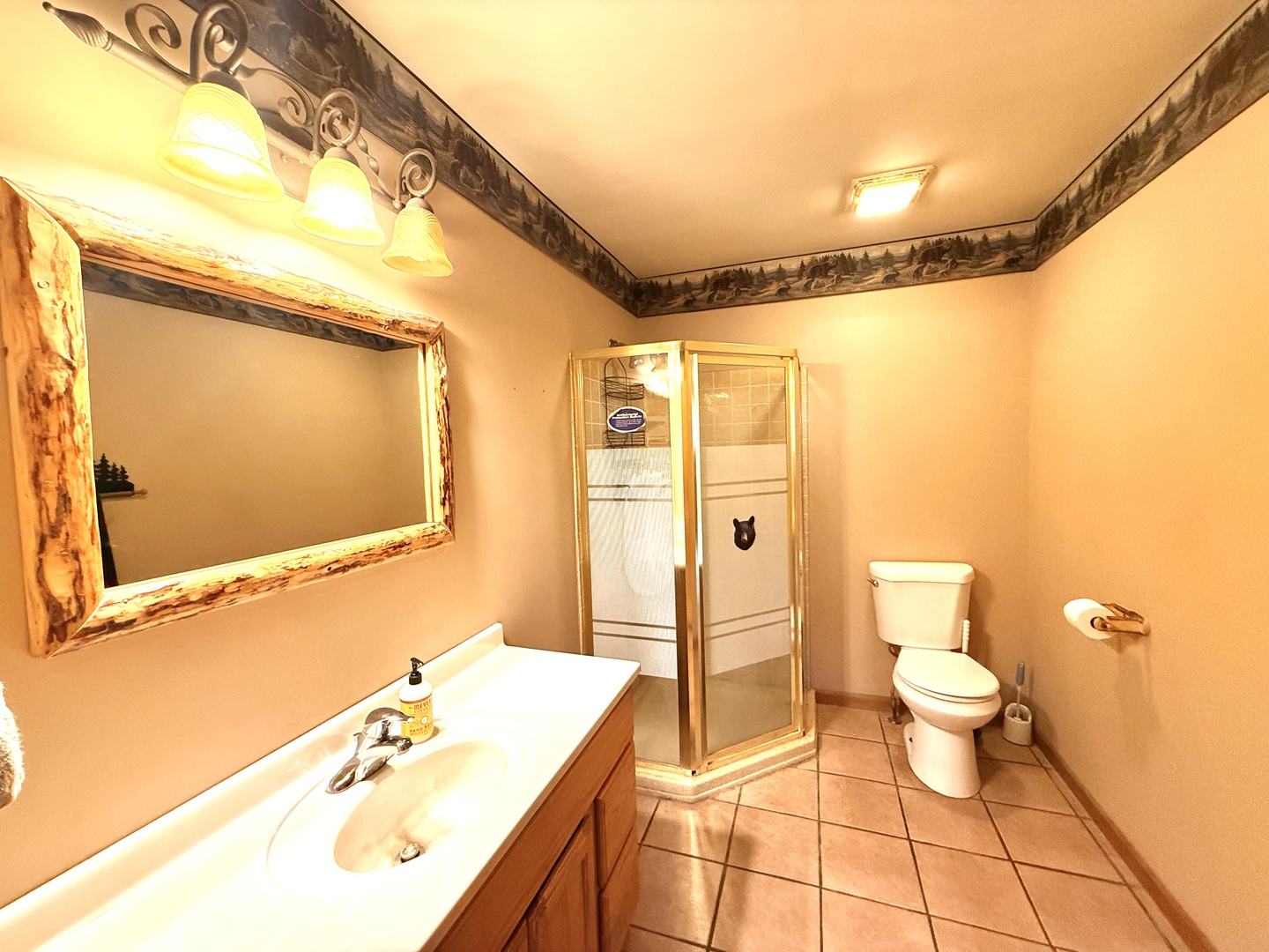 14944 South Steward Road Rochelle, IL 61068 - Photo 15 of 32 a bathroom with a sink mirror toilet and shower
