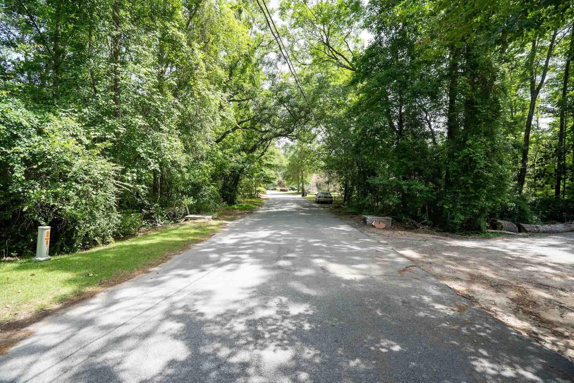 0 Sable Street Walterboro, SC 29488 - Photo 10 of 14 Pic10