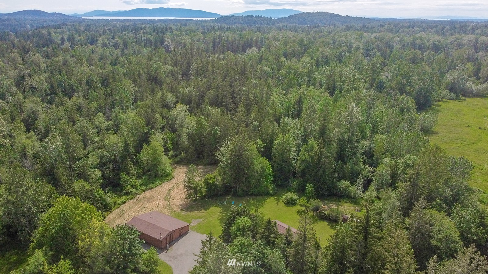 1407 Huntley Road Bellingham, WA 98226 - Photo 39 of 39 a view of a lush green forest with trees and some houses