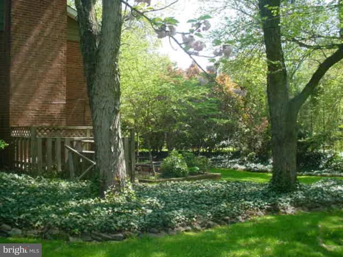 7525 Salem Road Falls Church, VA 22043 - Photo 18 of 30 Back yard
