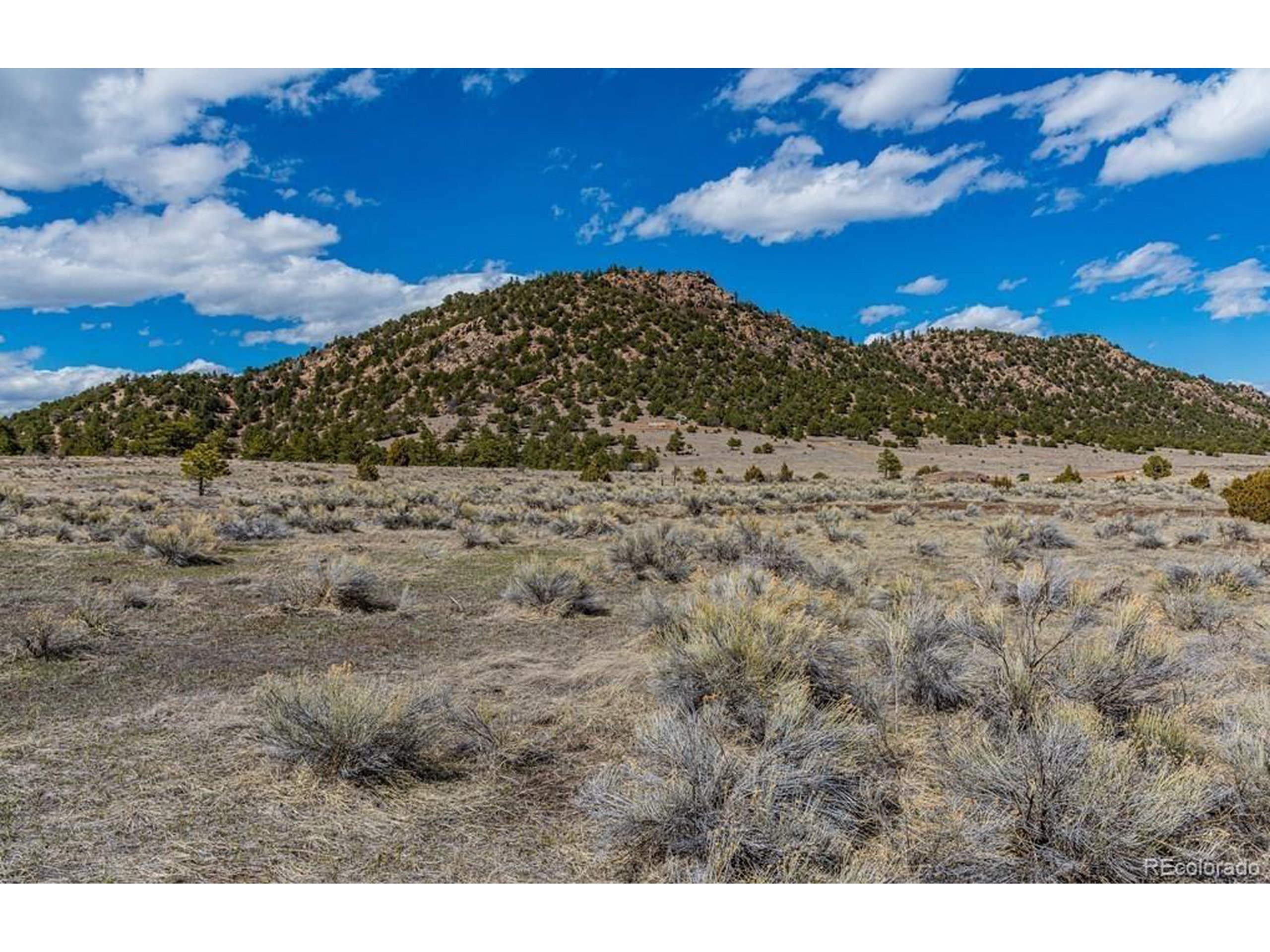 36 Marcey Road Westcliffe, CO 81252 - Photo 13 of 25 a view of a backyard of a house