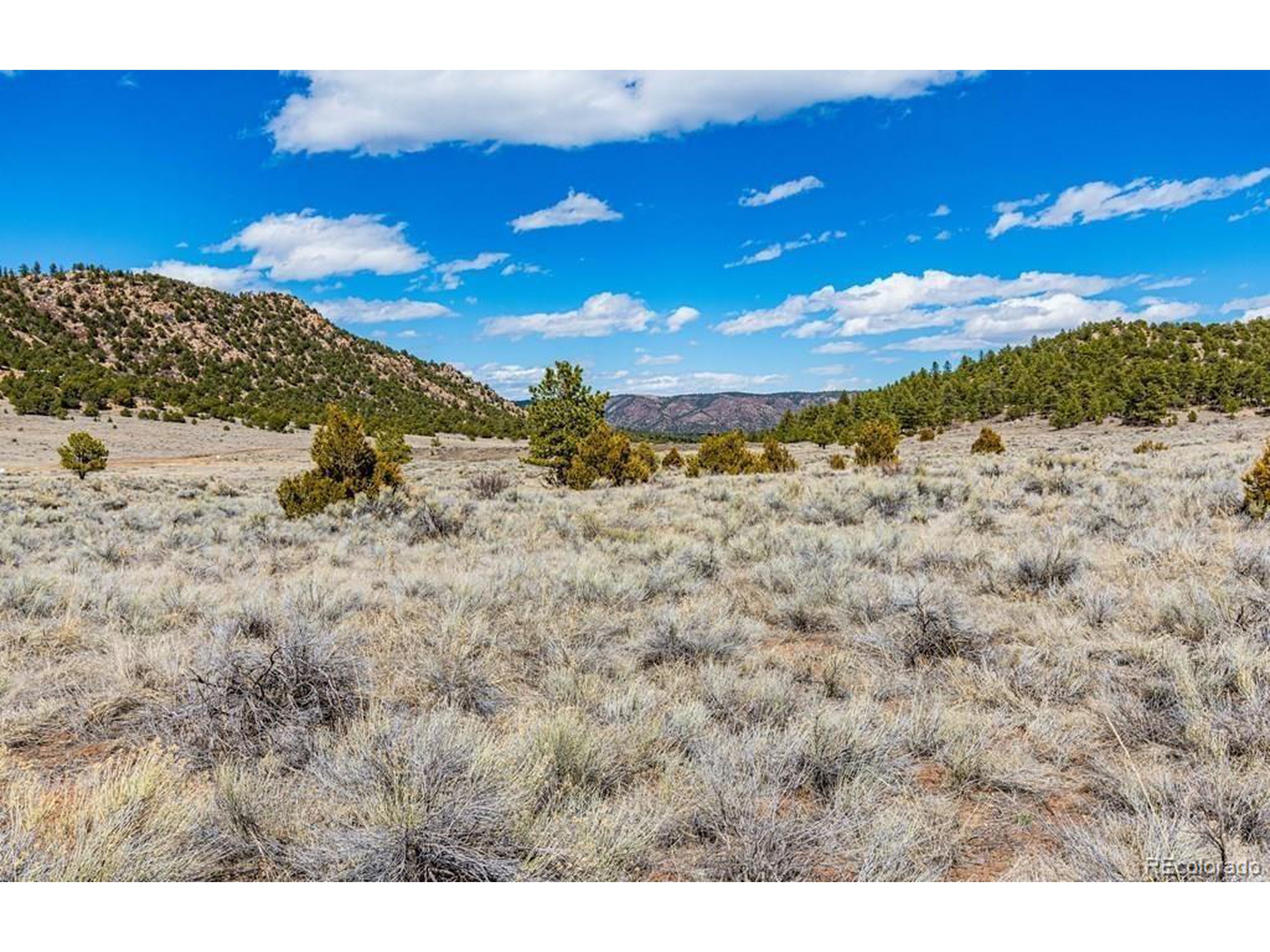 36 Marcey Road Westcliffe, CO 81252 - Photo 19 of 25 a view of a yard