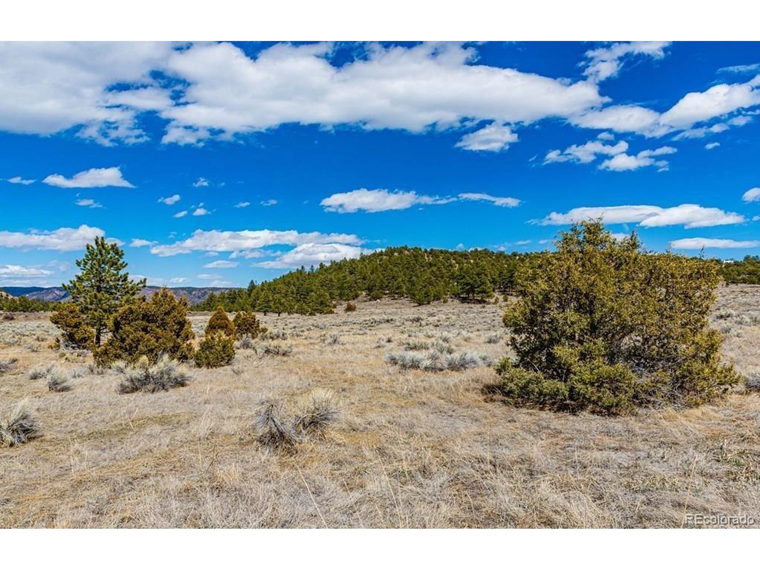 36 Marcey Road Westcliffe, CO 81252 - Photo 20 of 25 a view of a dry yard