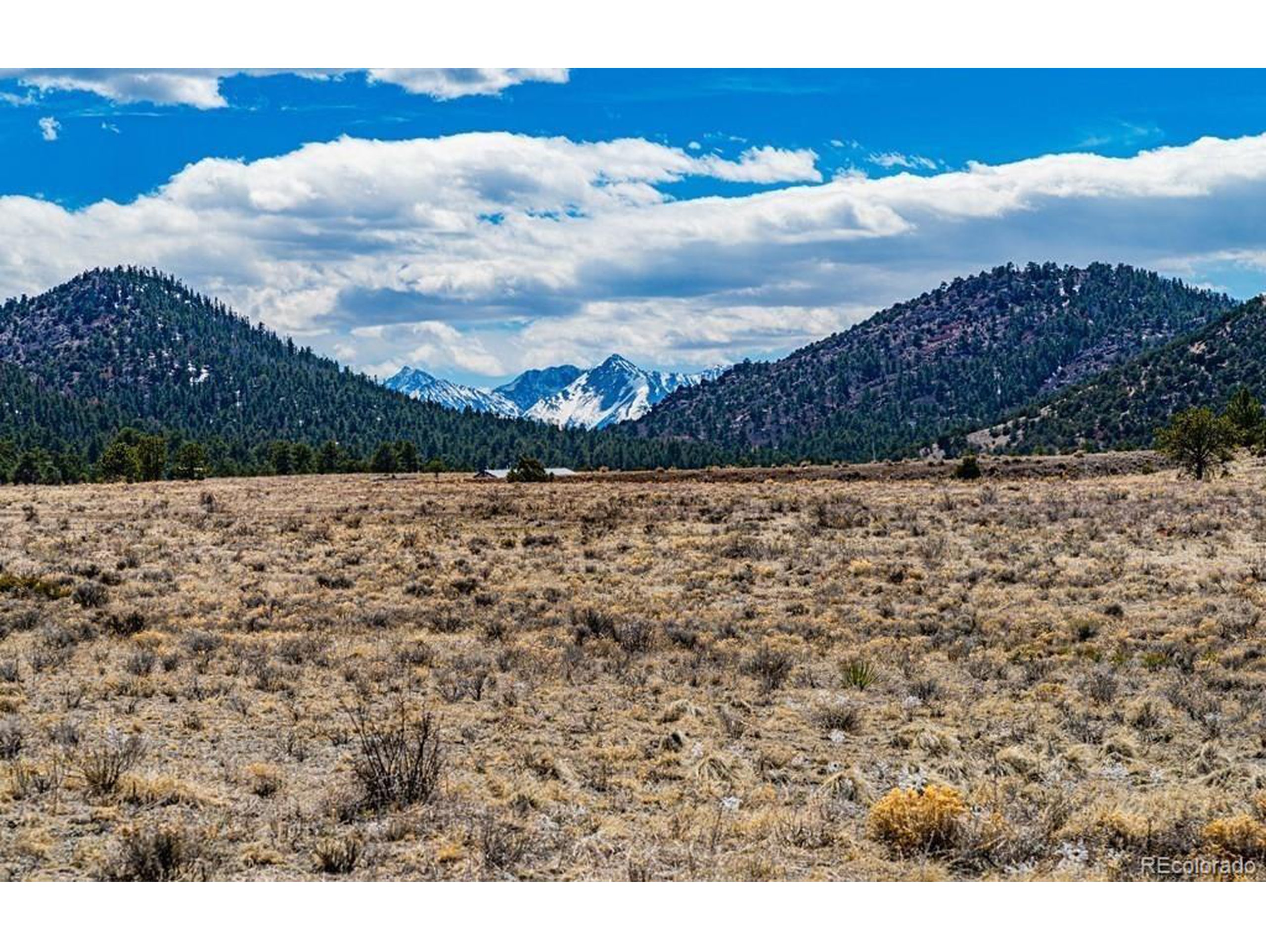 36 Marcey Road Westcliffe, CO 81252 - Photo 3 of 25 a view of a yard