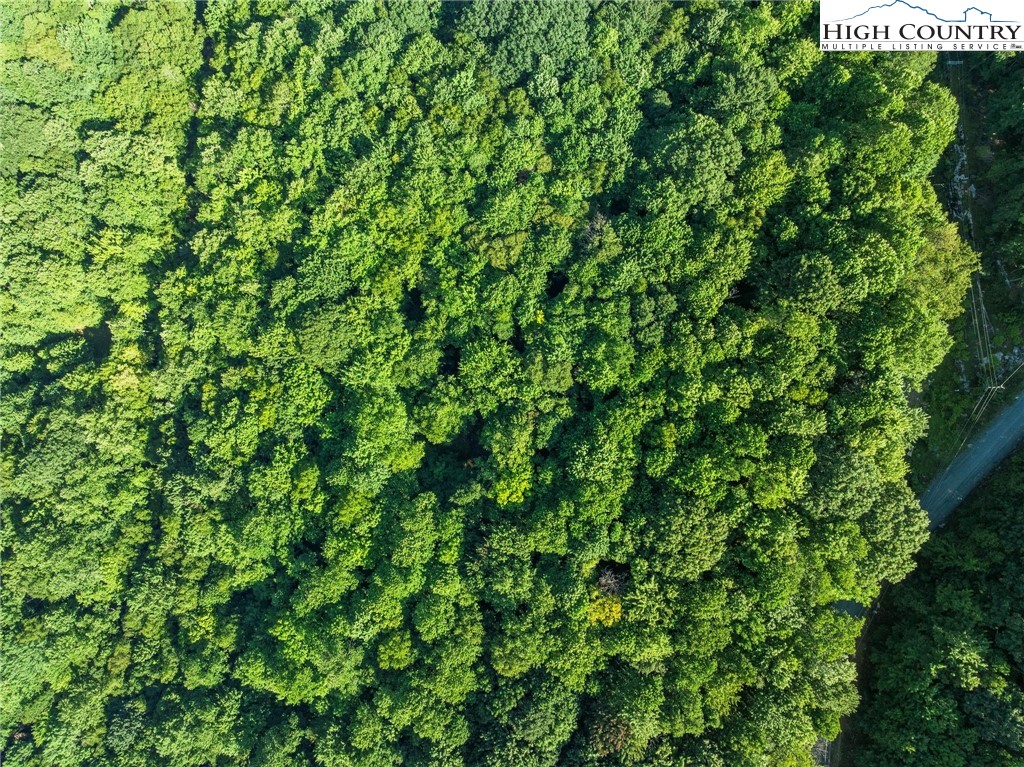 303 Locust Ridge Road Beech Mountain, NC 28604 - Photo 26 of 26 a view of a lush green forest