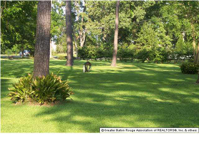 37236 Perkins Road Prairieville, LA 70769 - Photo 2 of 11 Gallery Image 2
